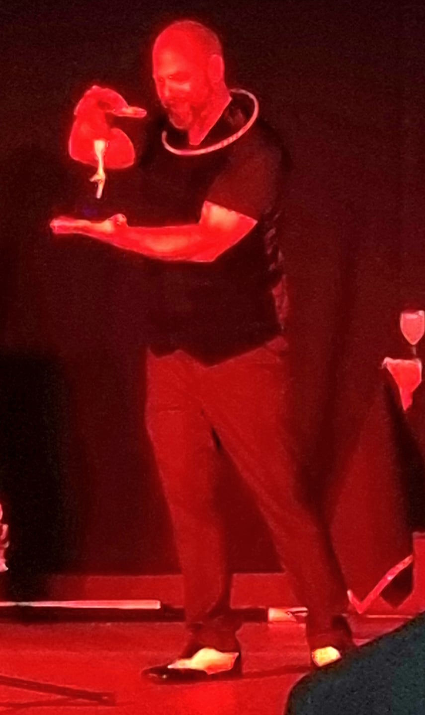 Steve Zebs - Comedy Magician